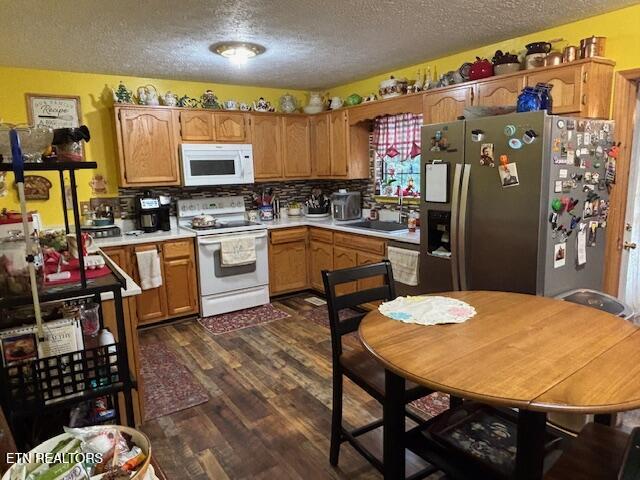 331 Briley Road Spring City TN 37381