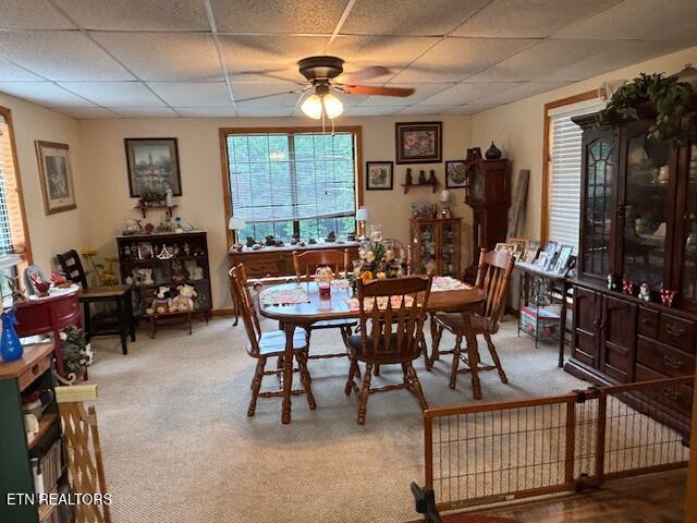 331 Briley Road Spring City TN 37381