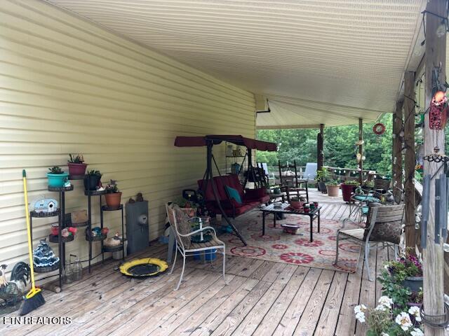 331 Briley Road Spring City TN 37381