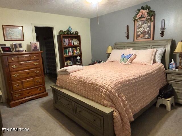 331 Briley Road Spring City TN 37381