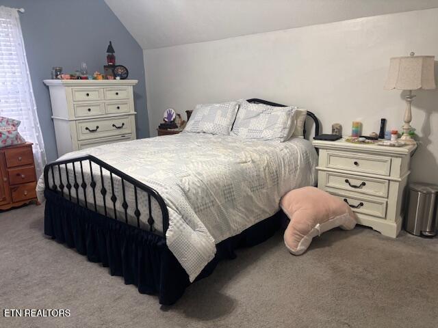 331 Briley Road Spring City TN 37381