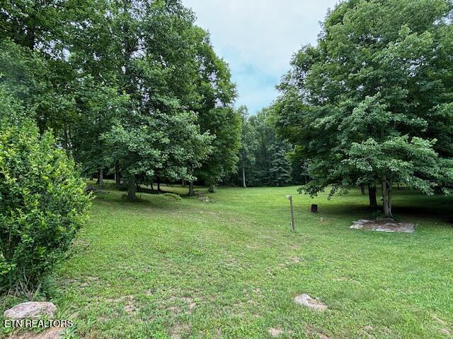 331 Briley Road Spring City TN 37381