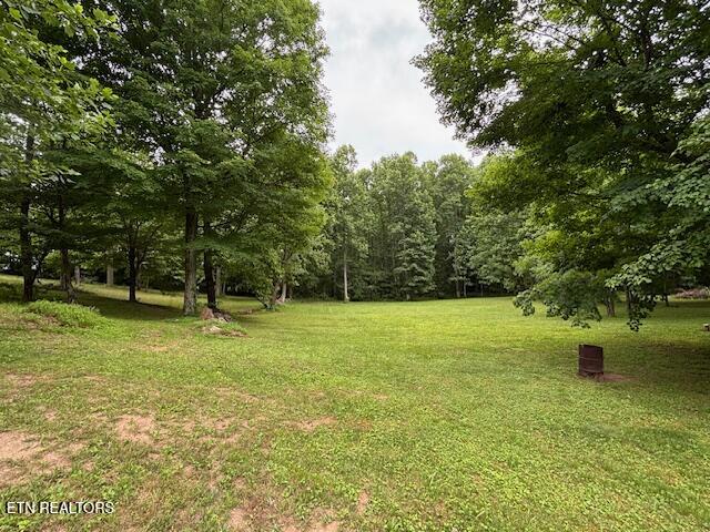 331 Briley Road Spring City TN 37381