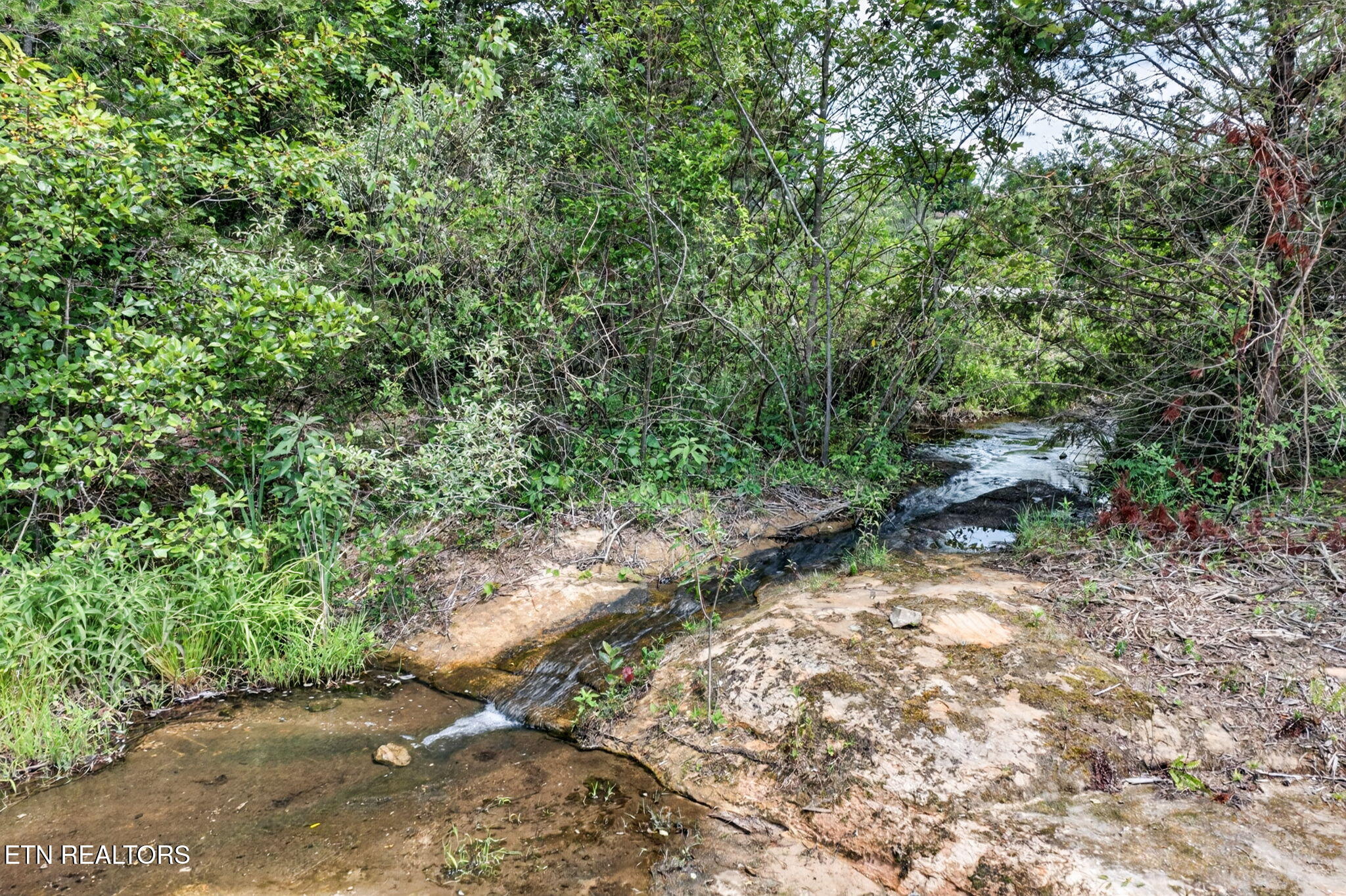 230 Amanda Drive Jamestown TN 38556
