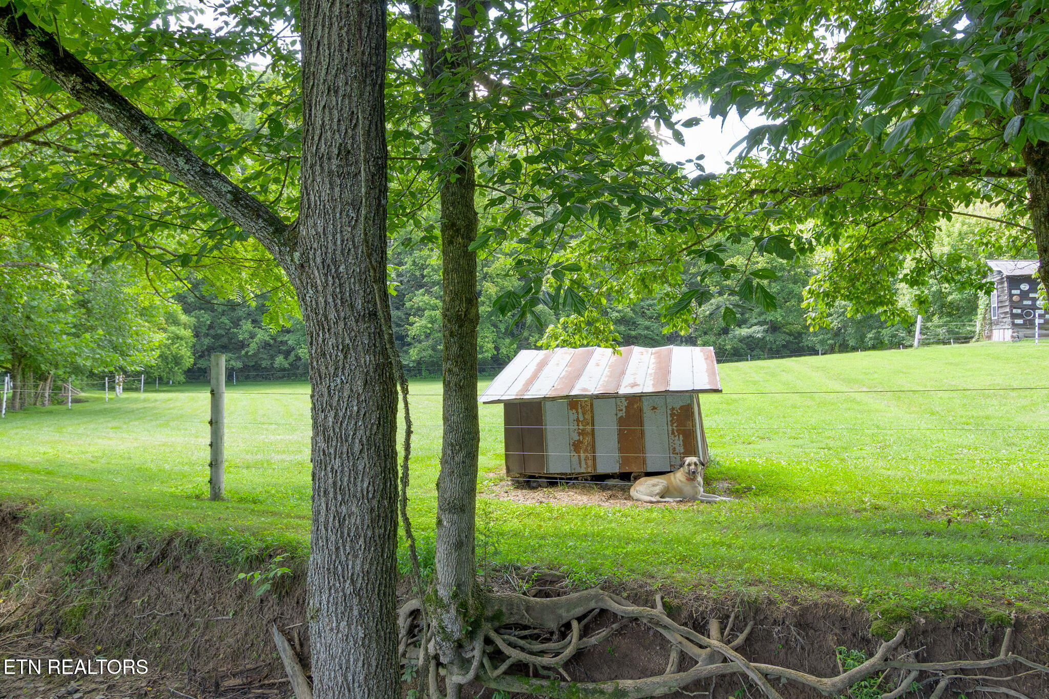 3000 Upper Caney Valley Road Tazewell TN 37879