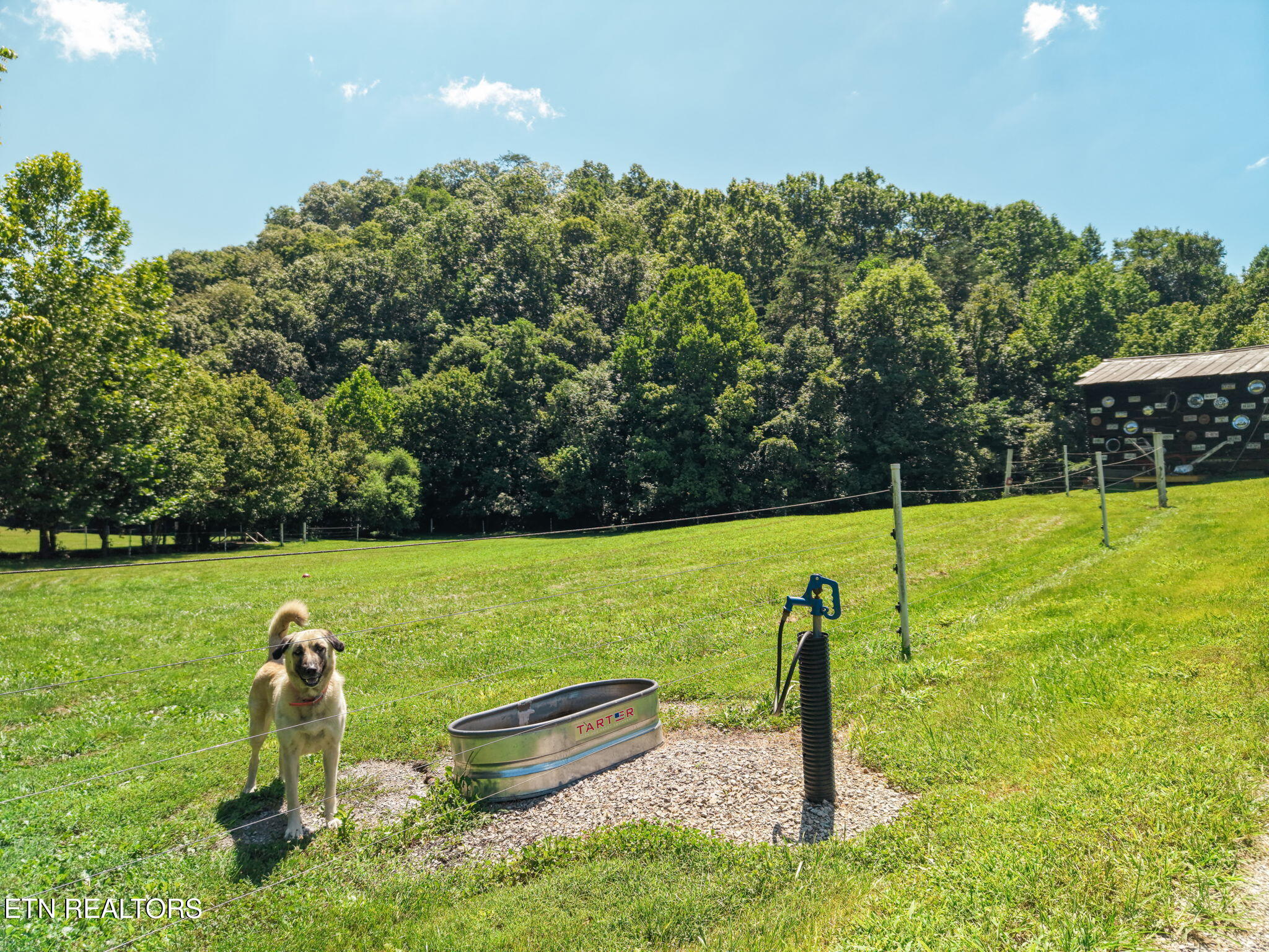 3000 Upper Caney Valley Road Tazewell TN 37879