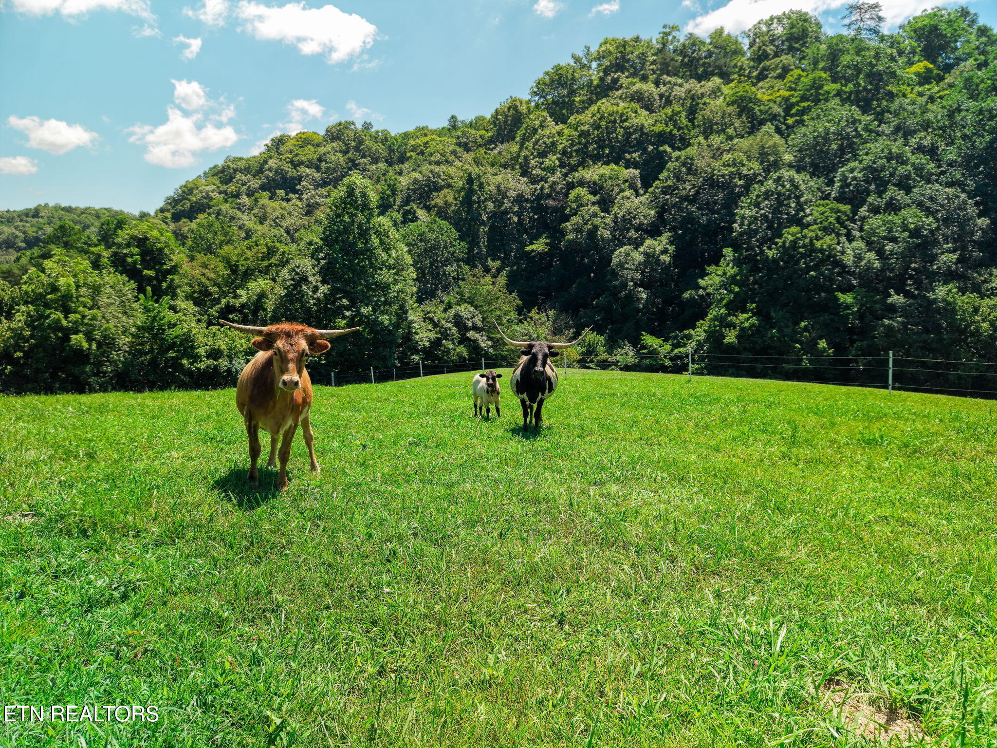 3000 Upper Caney Valley Road Tazewell TN 37879