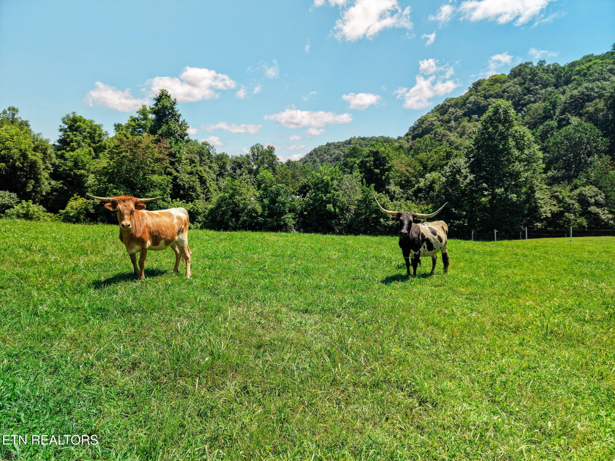 3000 Upper Caney Valley Road Tazewell TN 37879