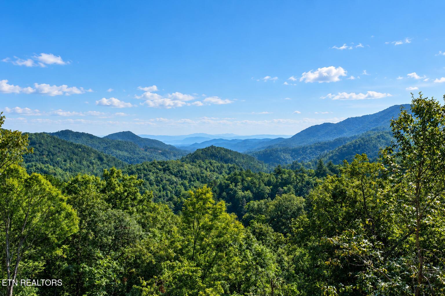 523 Percussion Court Sevierville TN 37862