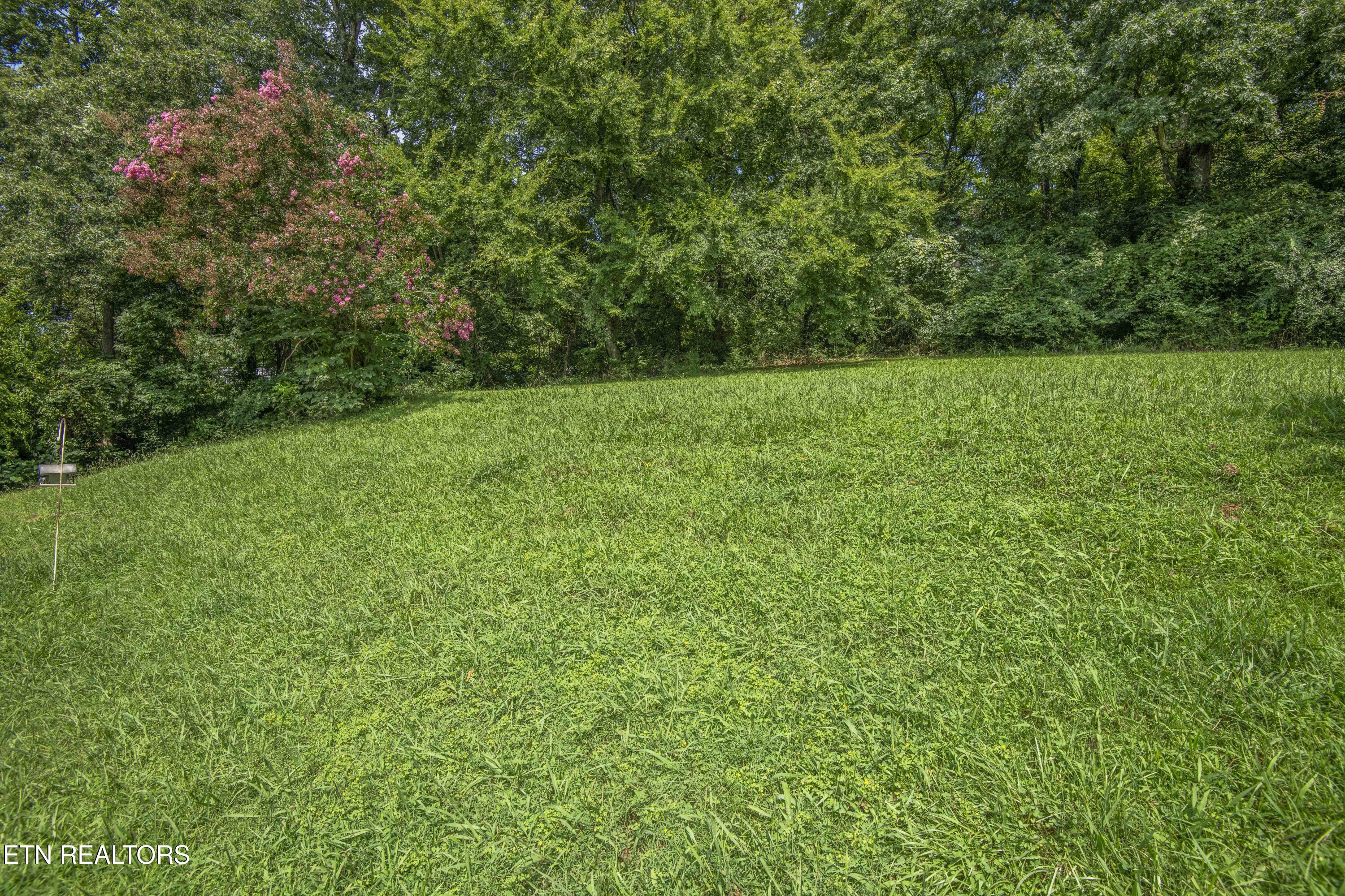 8713 Old Maynardville Pike Knoxville TN 37938
