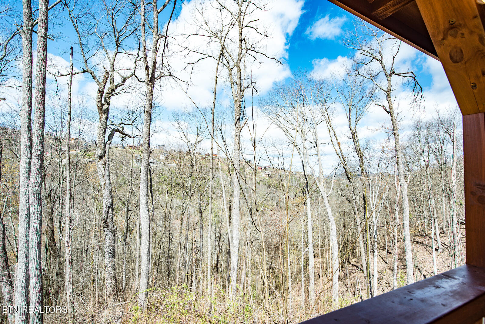 927 Statham Way Gatlinburg TN 37738