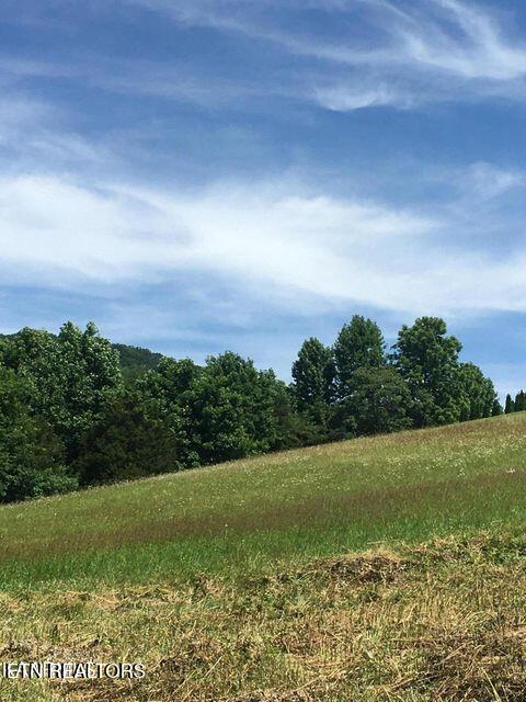 3556 Lone Mountain Road New Tazewell TN 37825