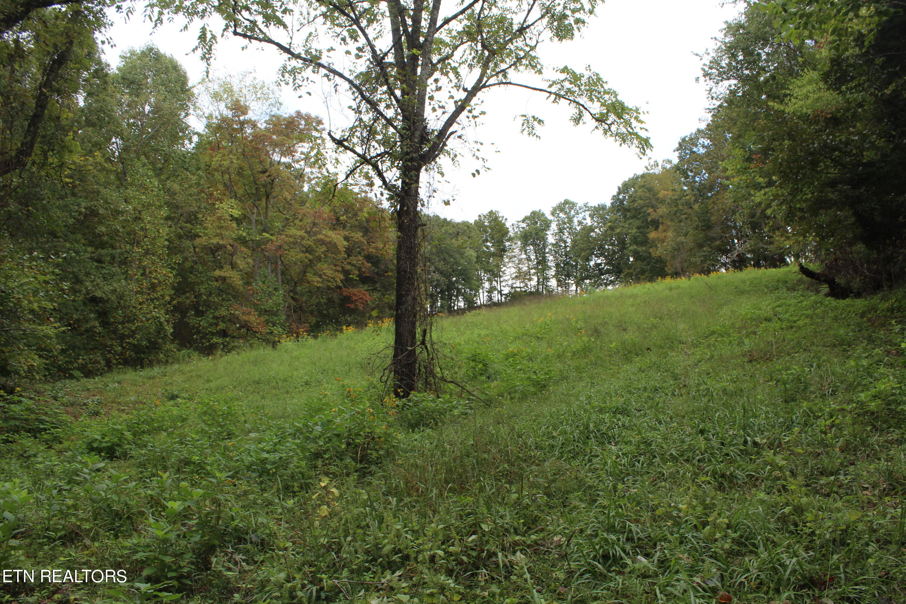 3556 Lone Mountain Road New Tazewell TN 37825