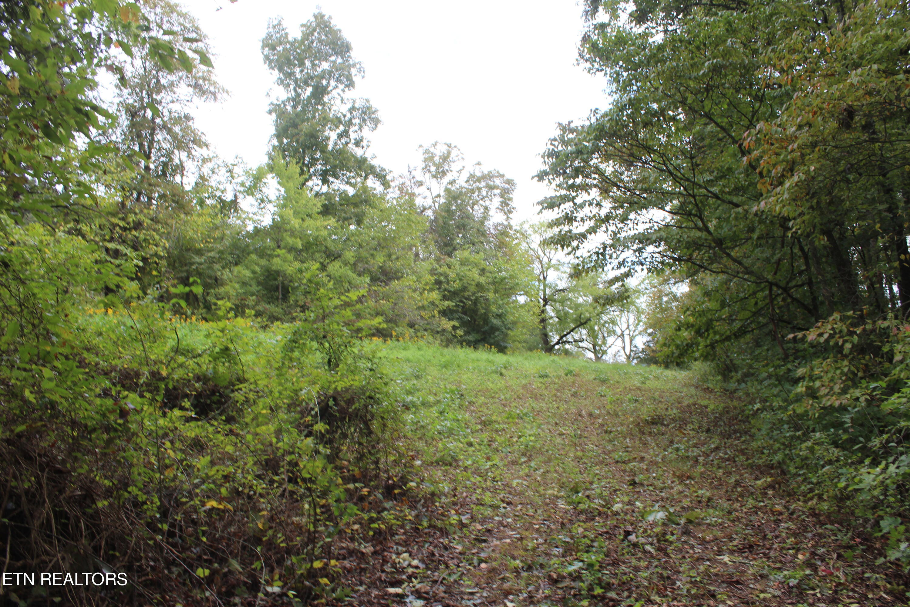 3556 Lone Mountain Road New Tazewell TN 37825