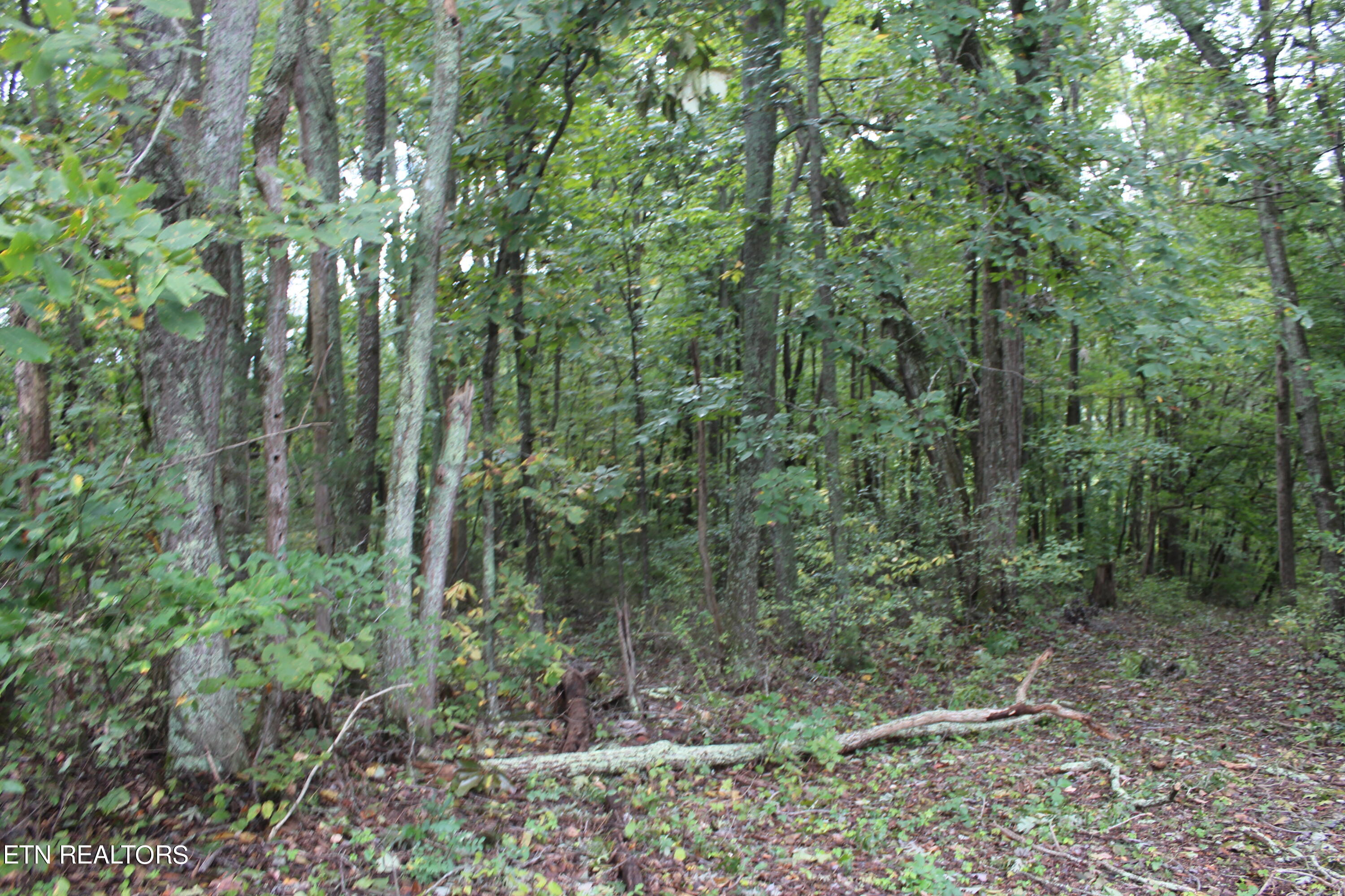 3556 Lone Mountain Road New Tazewell TN 37825