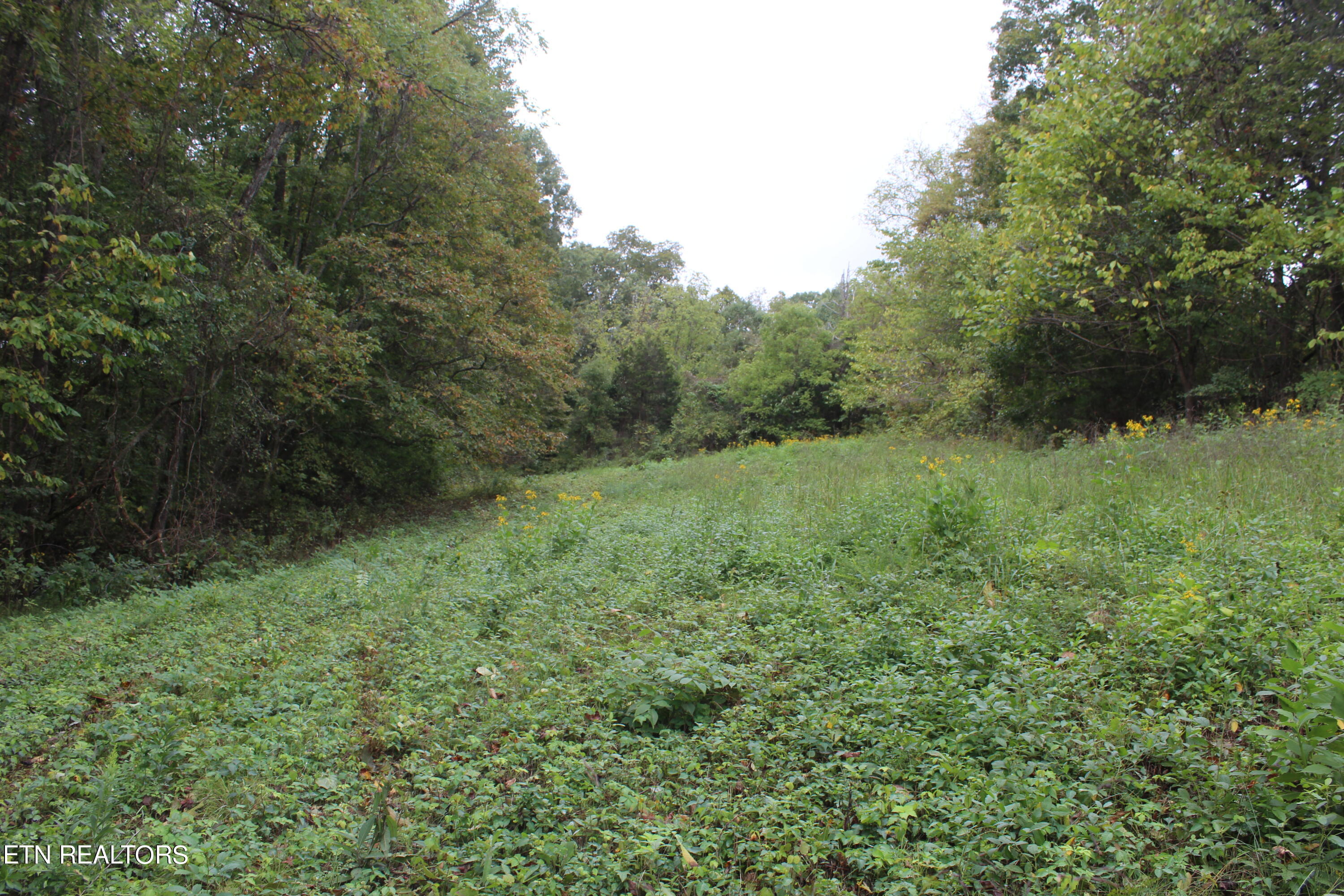 3556 Lone Mountain Road New Tazewell TN 37825