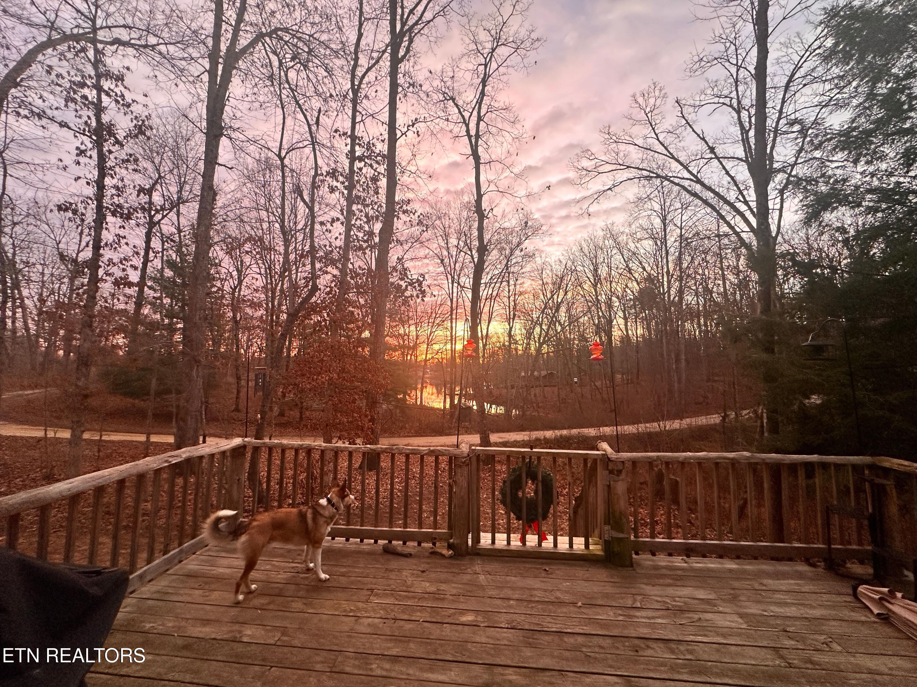 6 Diane Circle Crossville TN 38572