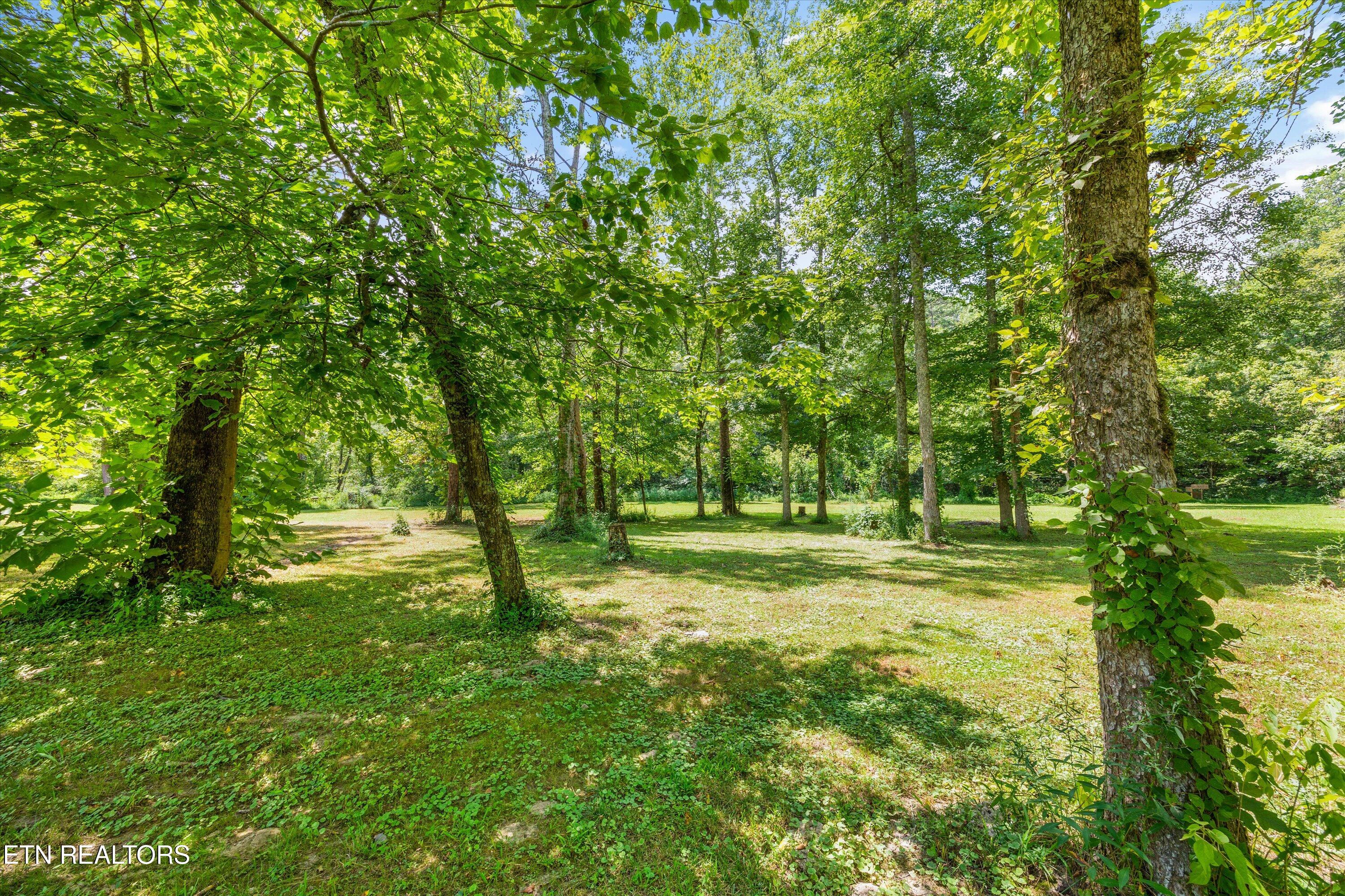 986 Marlow Circle Clinton TN 37716