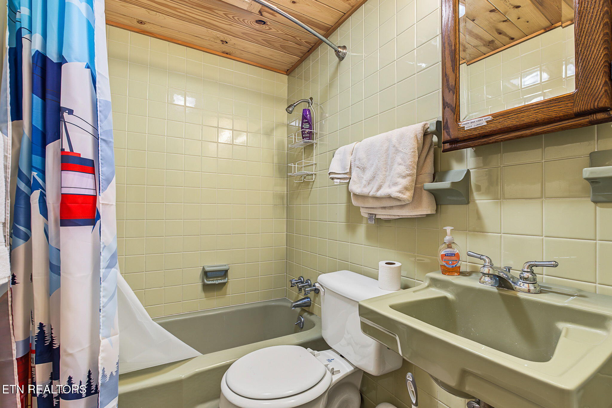 1404 S Baden Drive Gatlinburg TN 37738