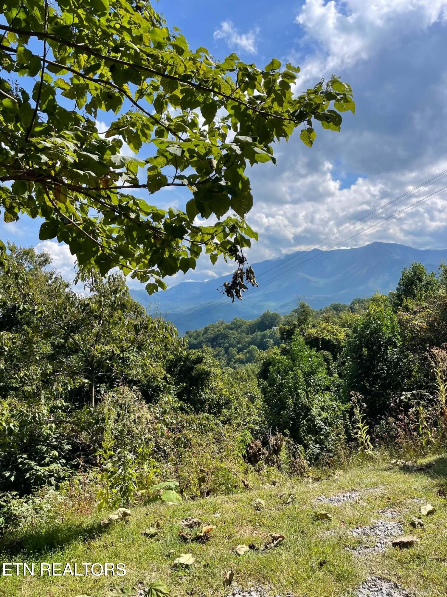 1404 S Baden Drive Gatlinburg TN 37738