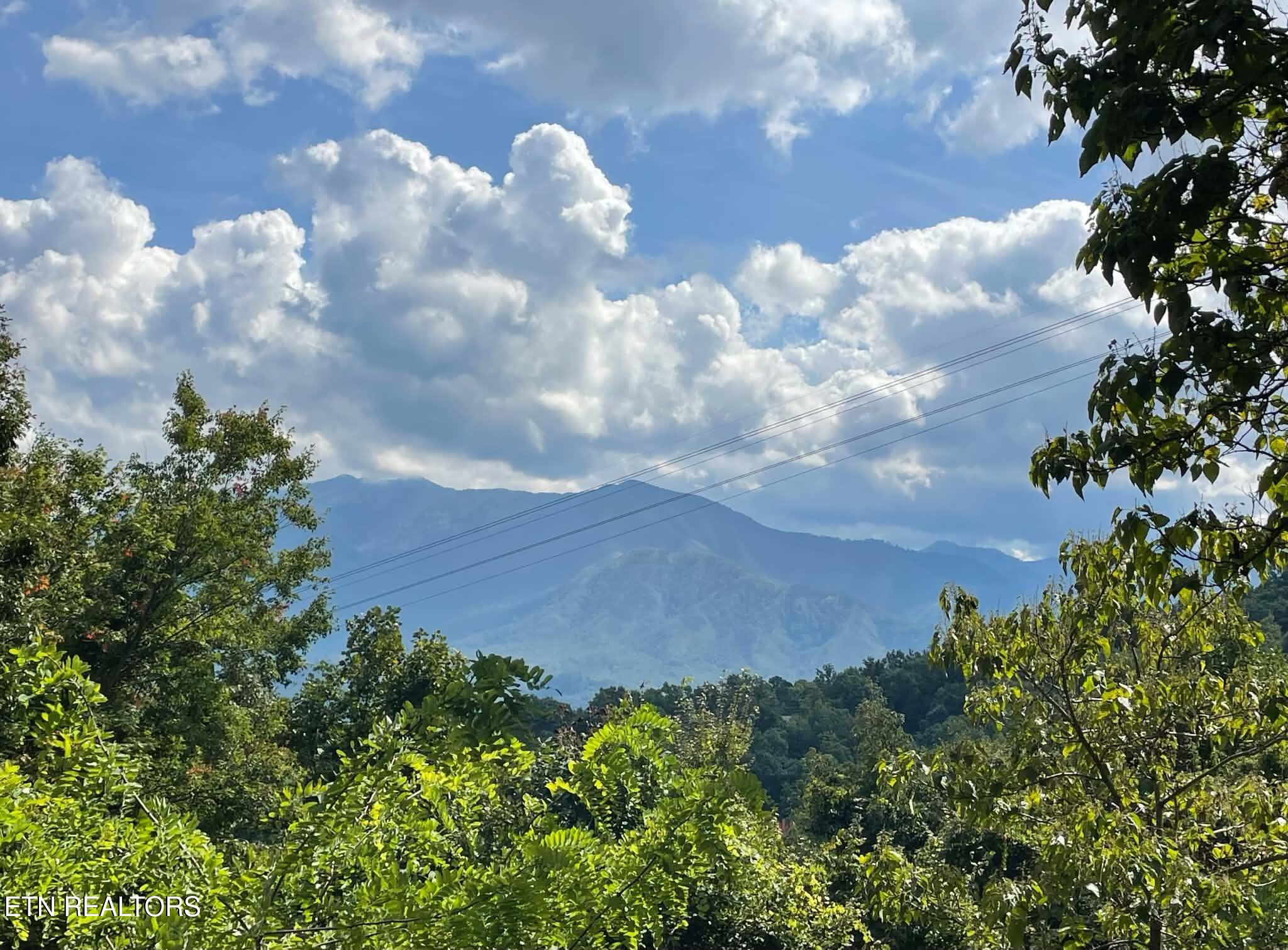 1404 S Baden Drive Gatlinburg TN 37738
