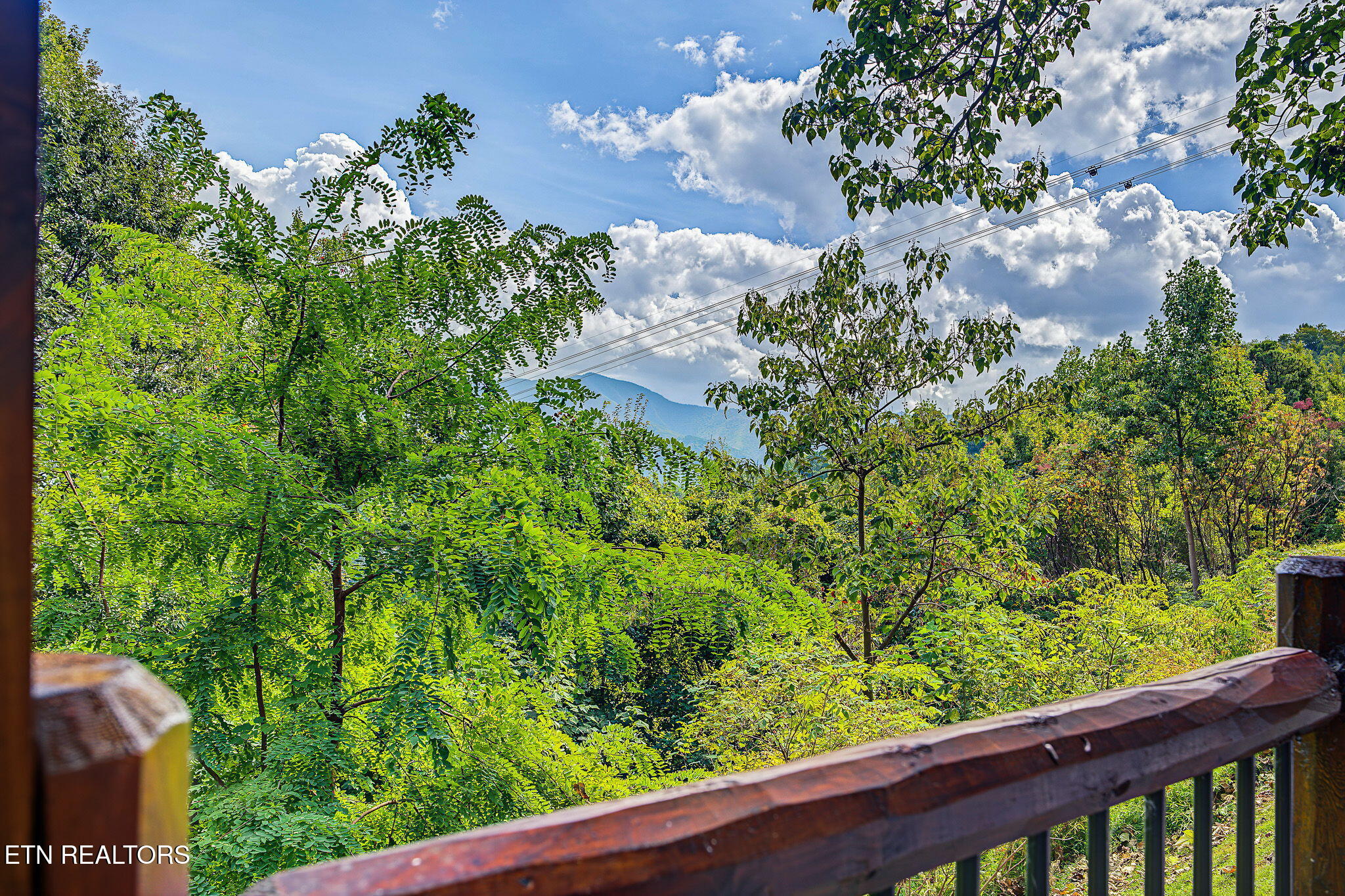 1404 S Baden Drive Gatlinburg TN 37738