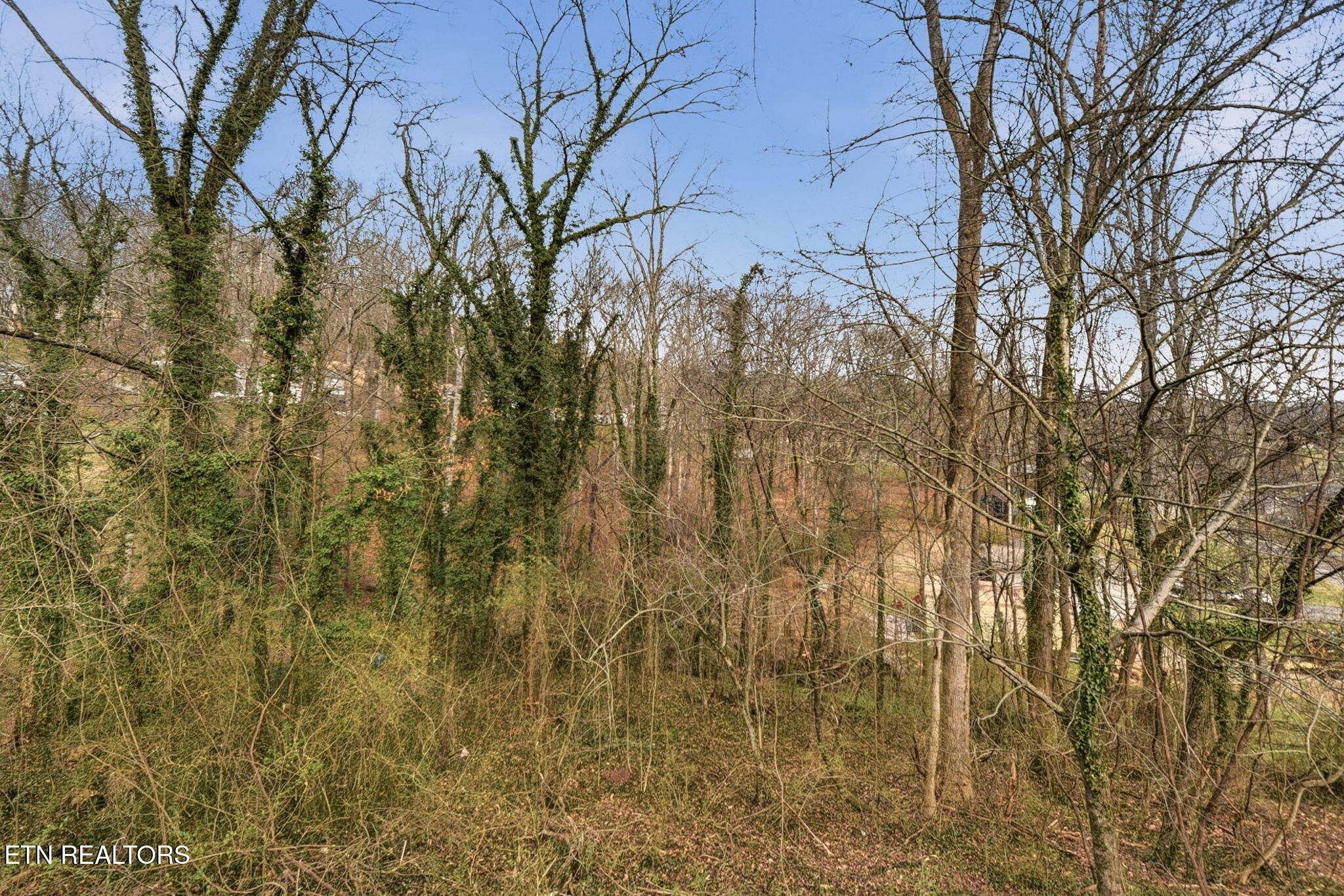 435 Sherwood Estates Circle Clinton TN 37716
