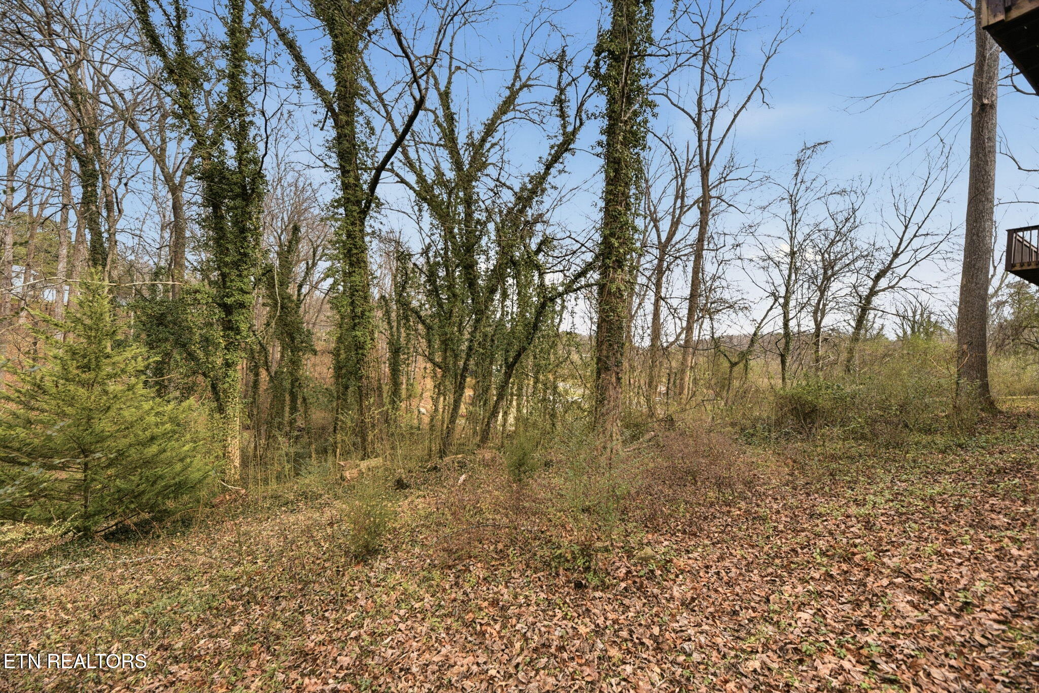 435 Sherwood Estates Circle Clinton TN 37716