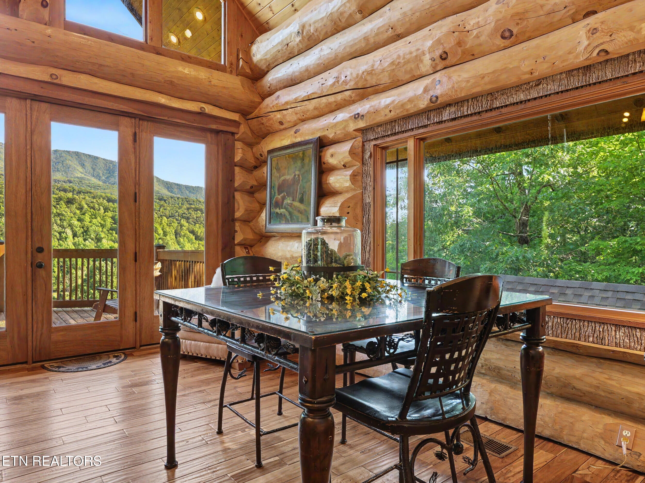 213 Matterhorn Drive Gatlinburg TN 37738