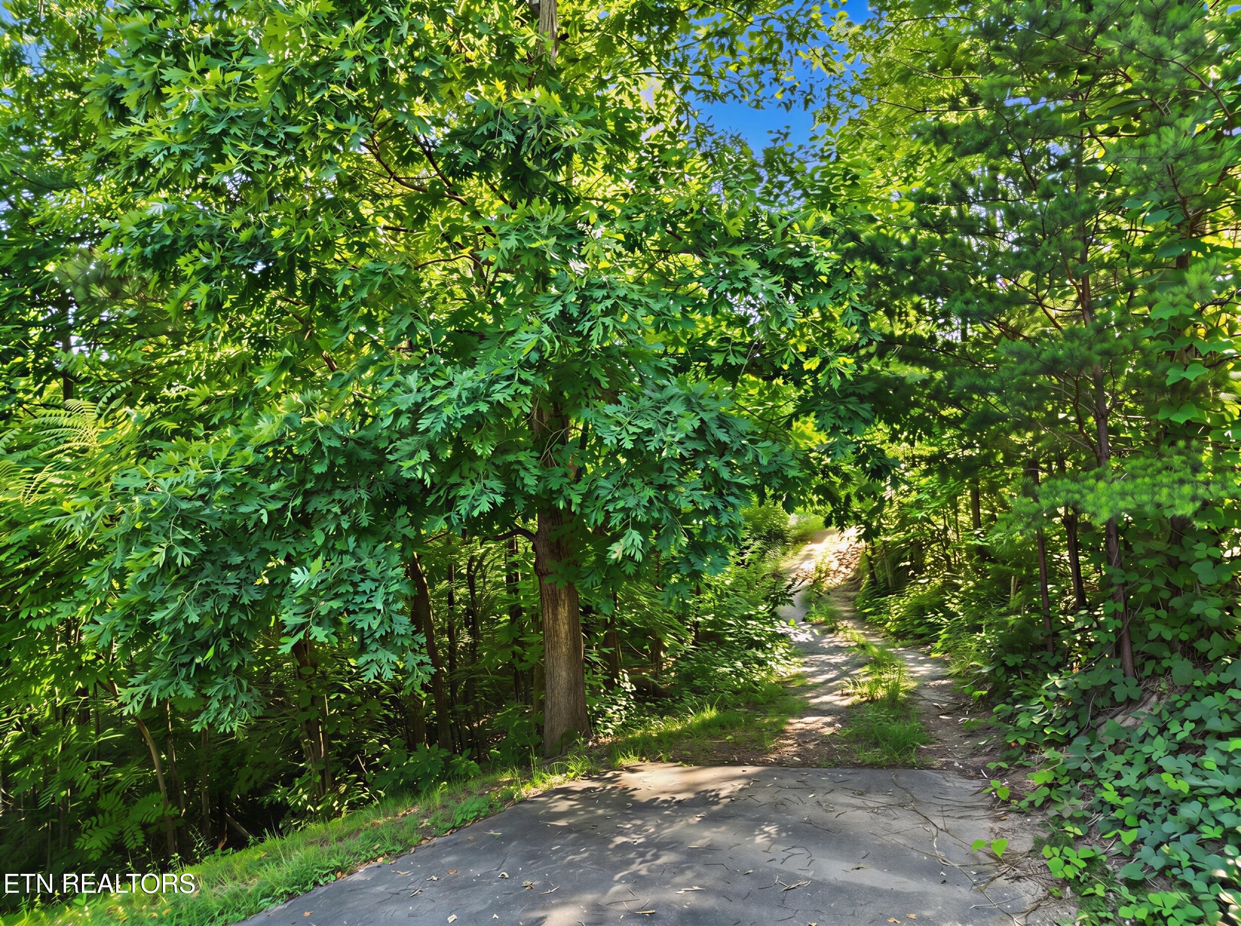 213 Matterhorn Drive Gatlinburg TN 37738