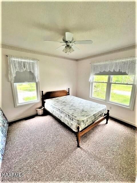 550 Meadows Road Sparta TN 38583