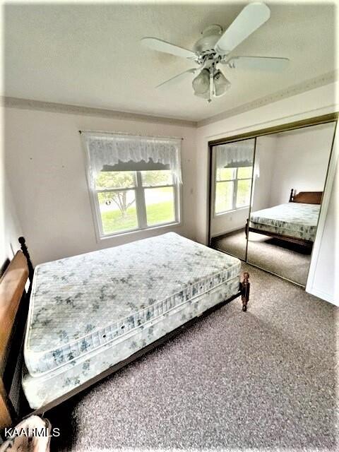 550 Meadows Road Sparta TN 38583