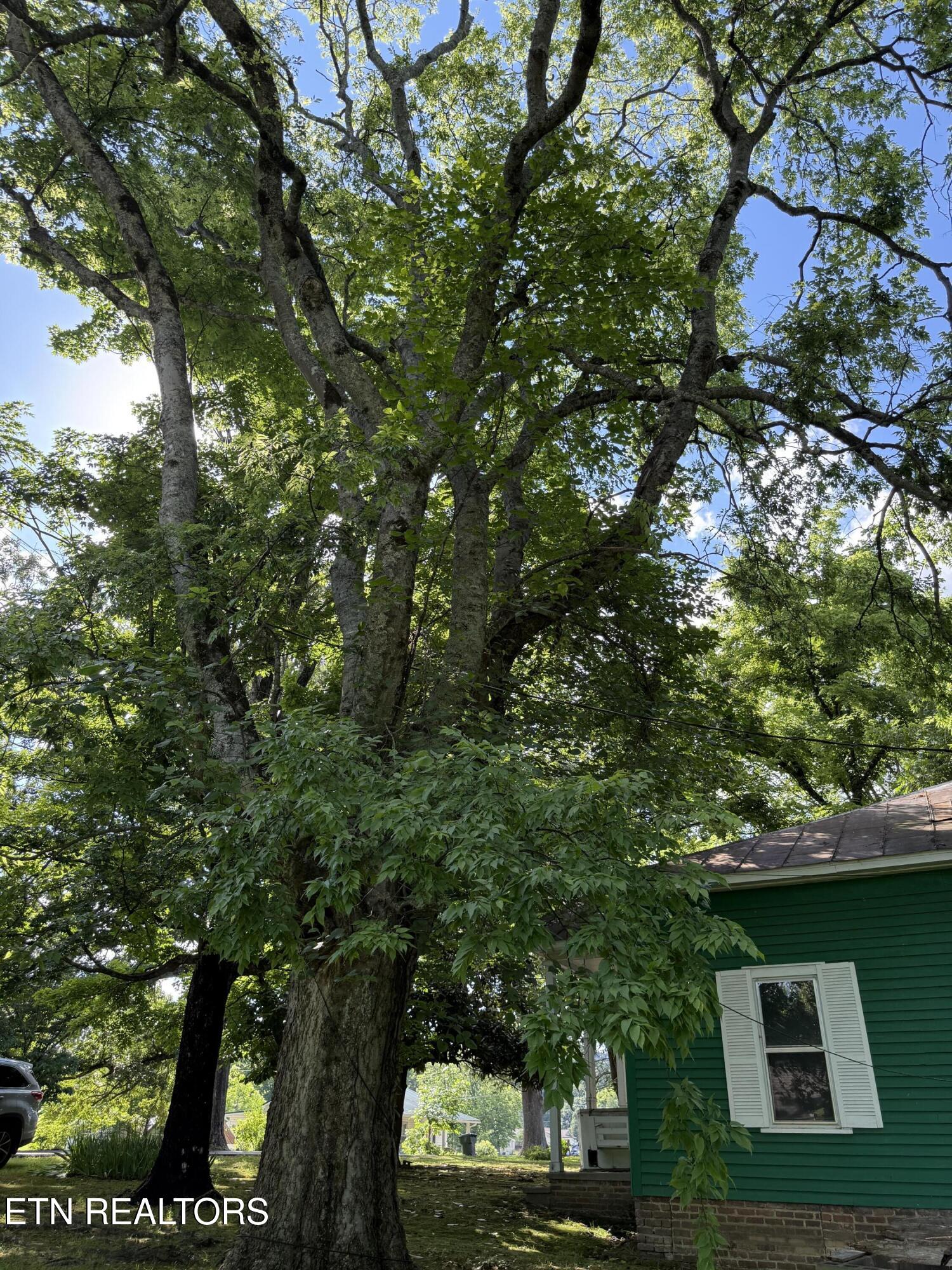 315 E Hardin Lane Sevierville TN 37862