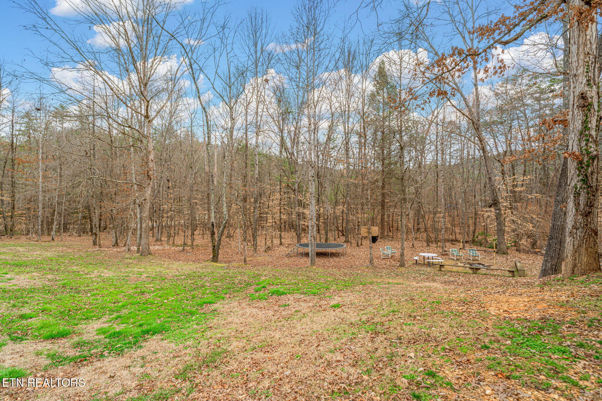 113 Mcspadden Branch Road Vonore TN 37885