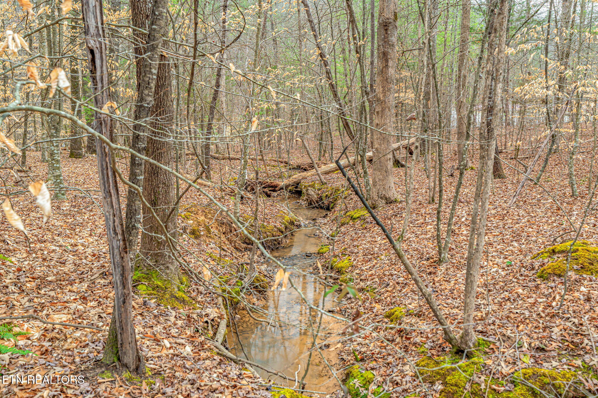 113 Mcspadden Branch Road Vonore TN 37885