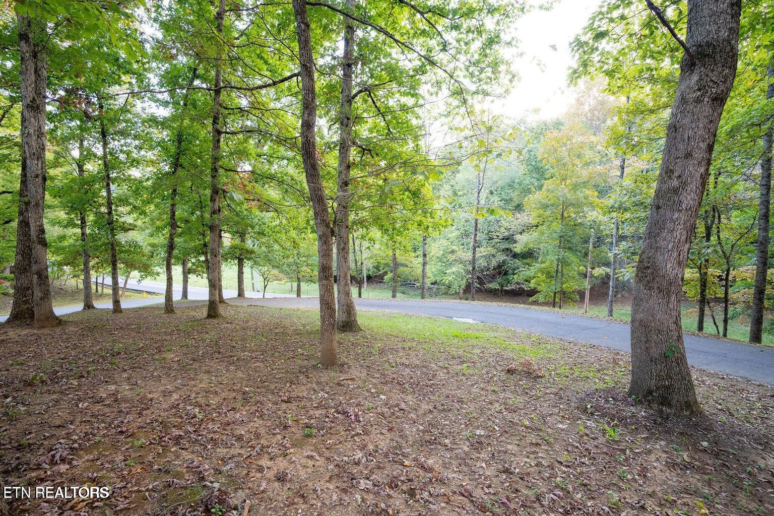 310 White Cap Lane Pigeon Forge TN 37863