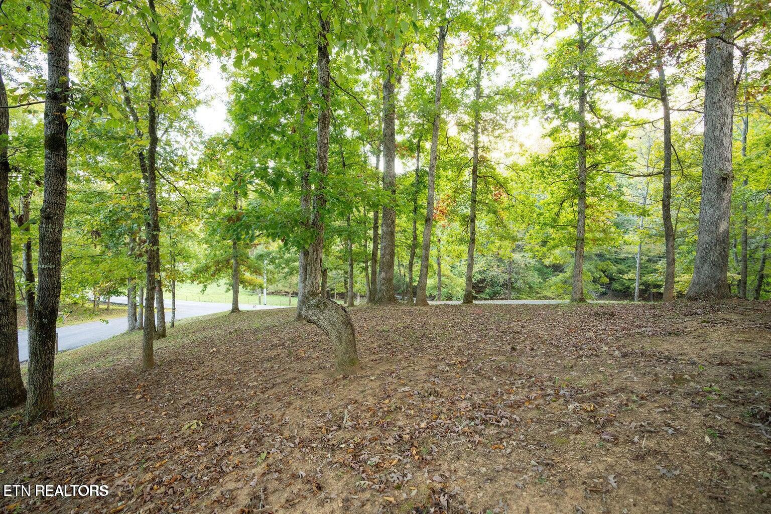 310 White Cap Lane Pigeon Forge TN 37863