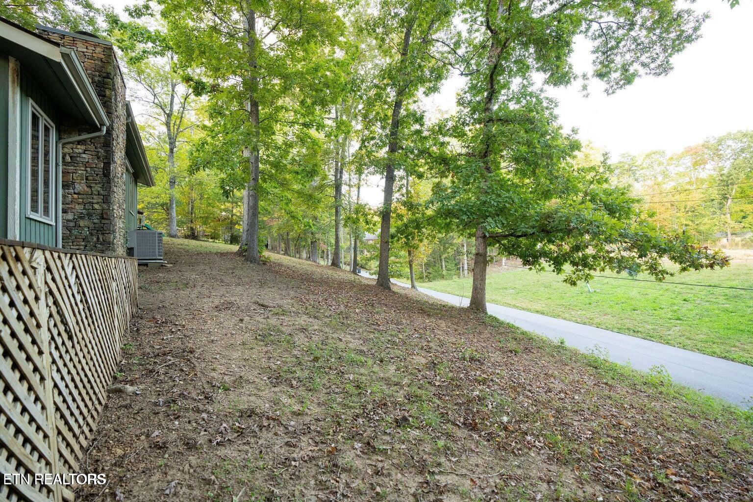 310 White Cap Lane Pigeon Forge TN 37863