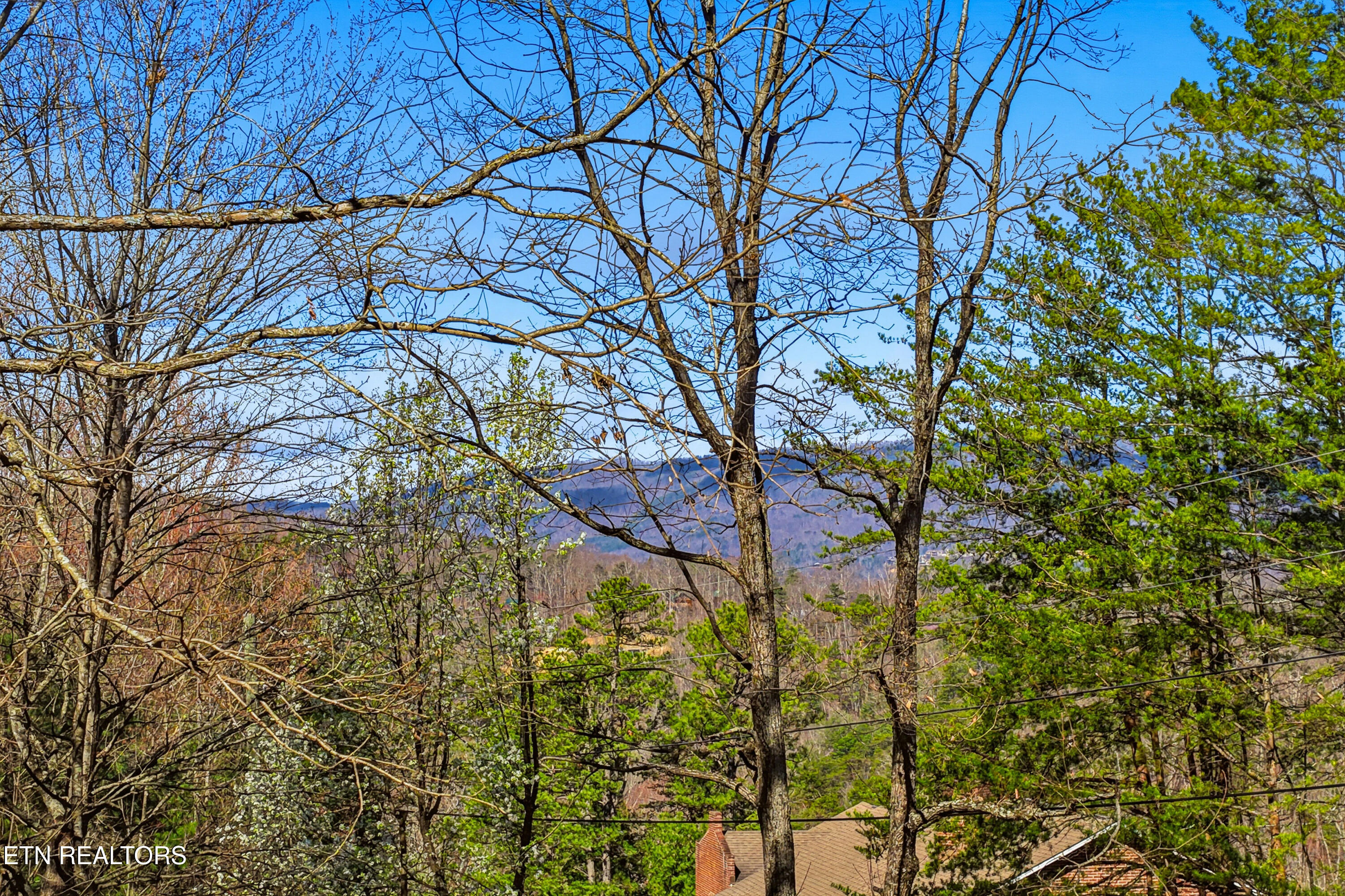 2206 Castle Rise Way Sevierville TN 37862
