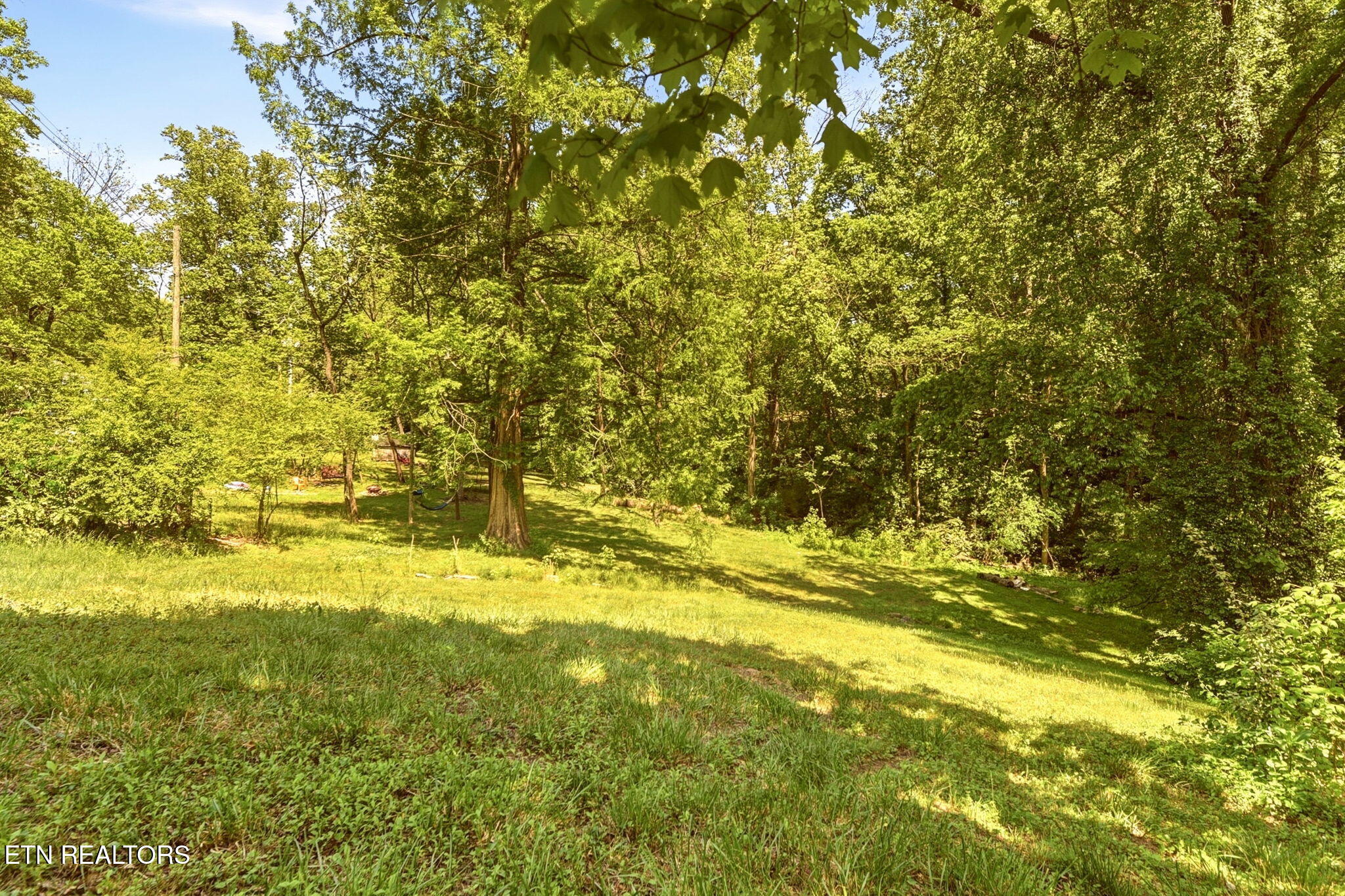 55 Dogwood Road Norris TN 37828