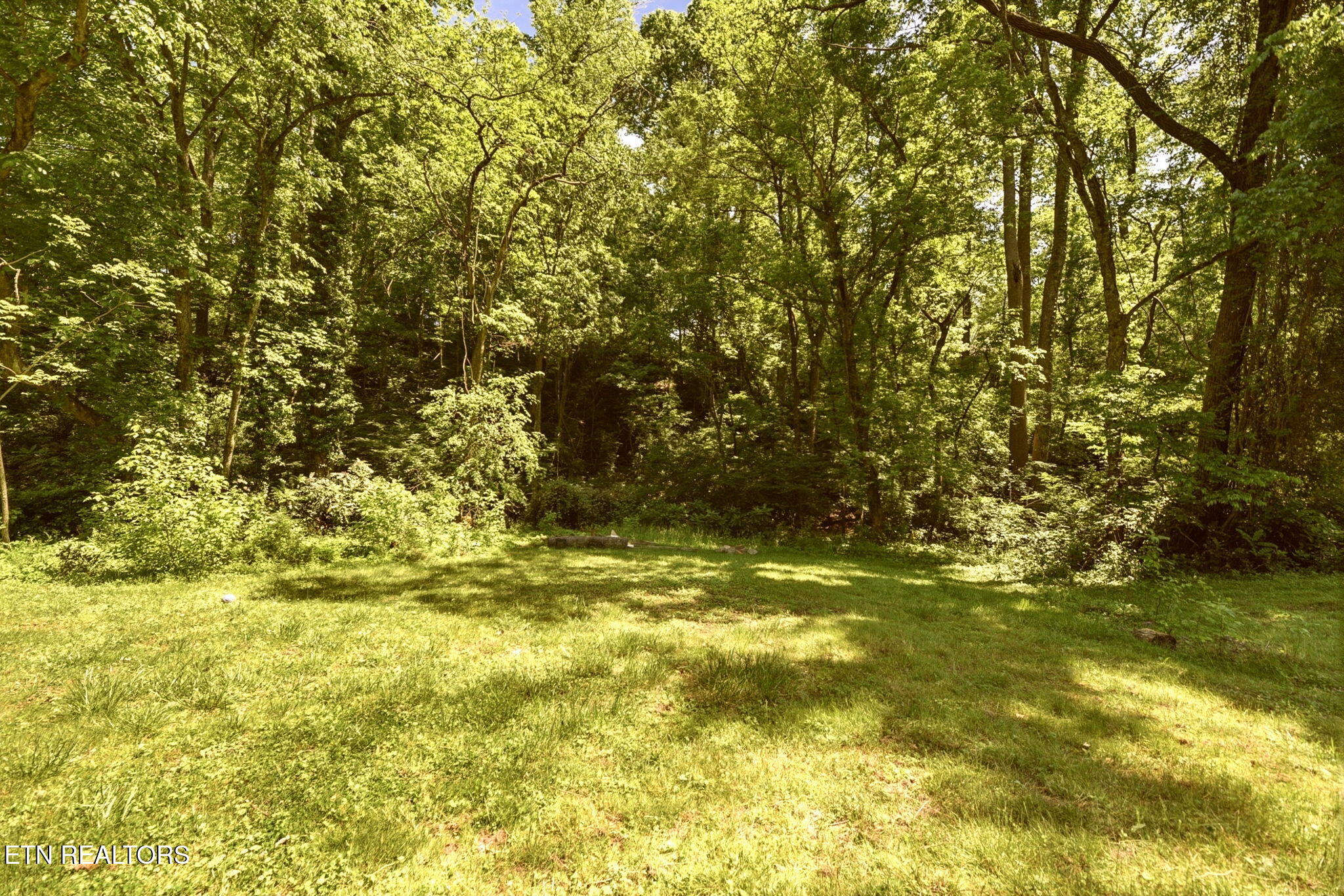55 Dogwood Road Norris TN 37828