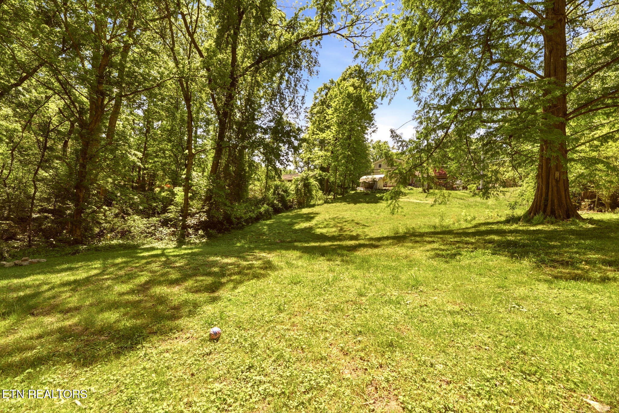 55 Dogwood Road Norris TN 37828
