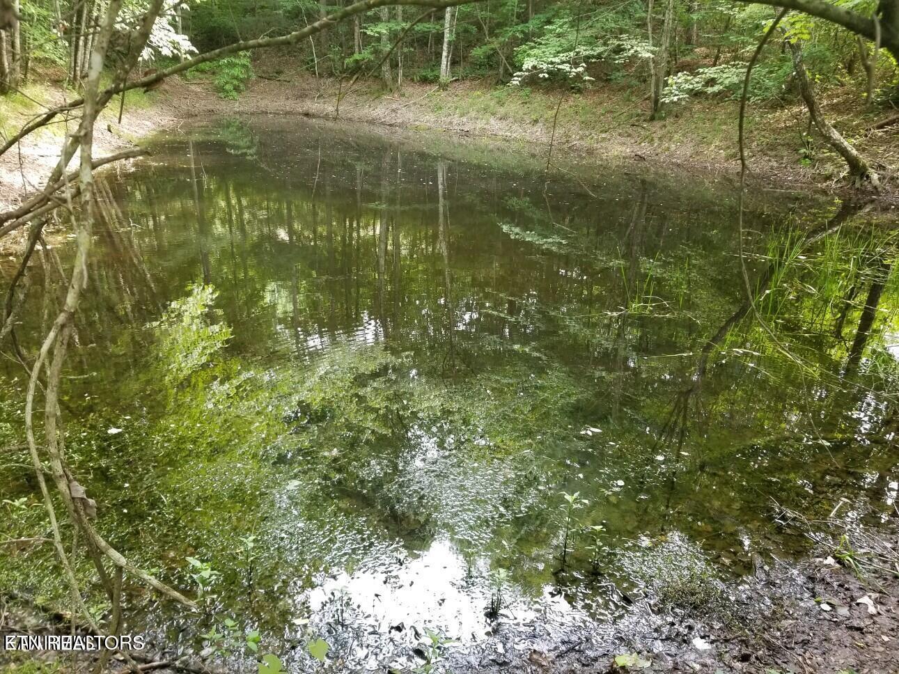 109 Camp Howard Road Oakdale TN 37829