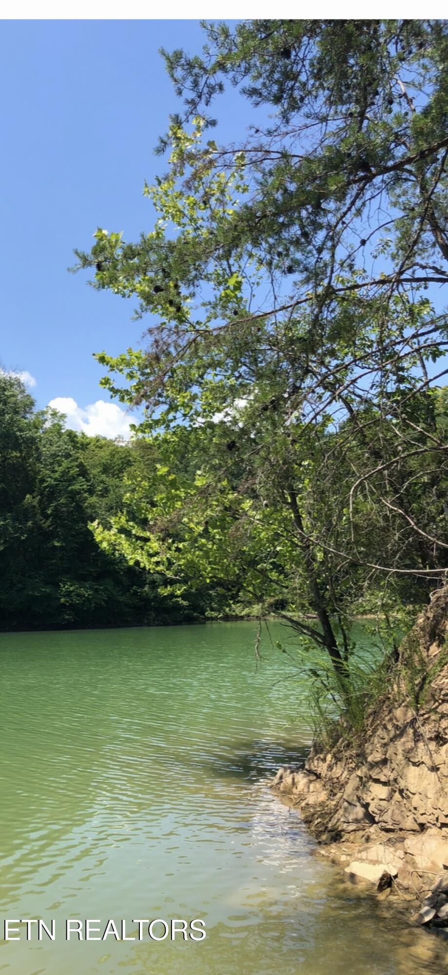 1582 Romary Road Dandridge TN 37725