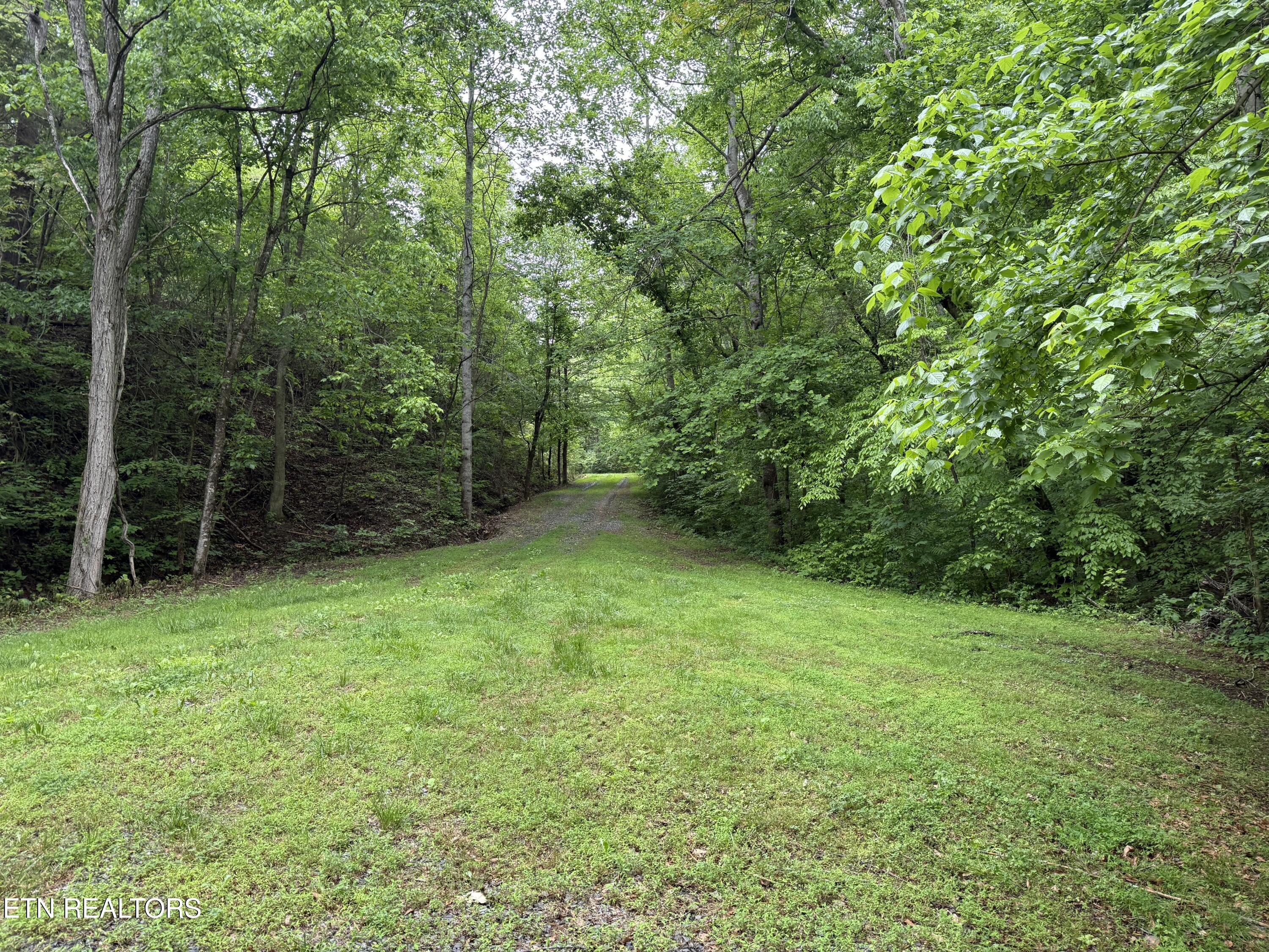 1582 Romary Road Dandridge TN 37725