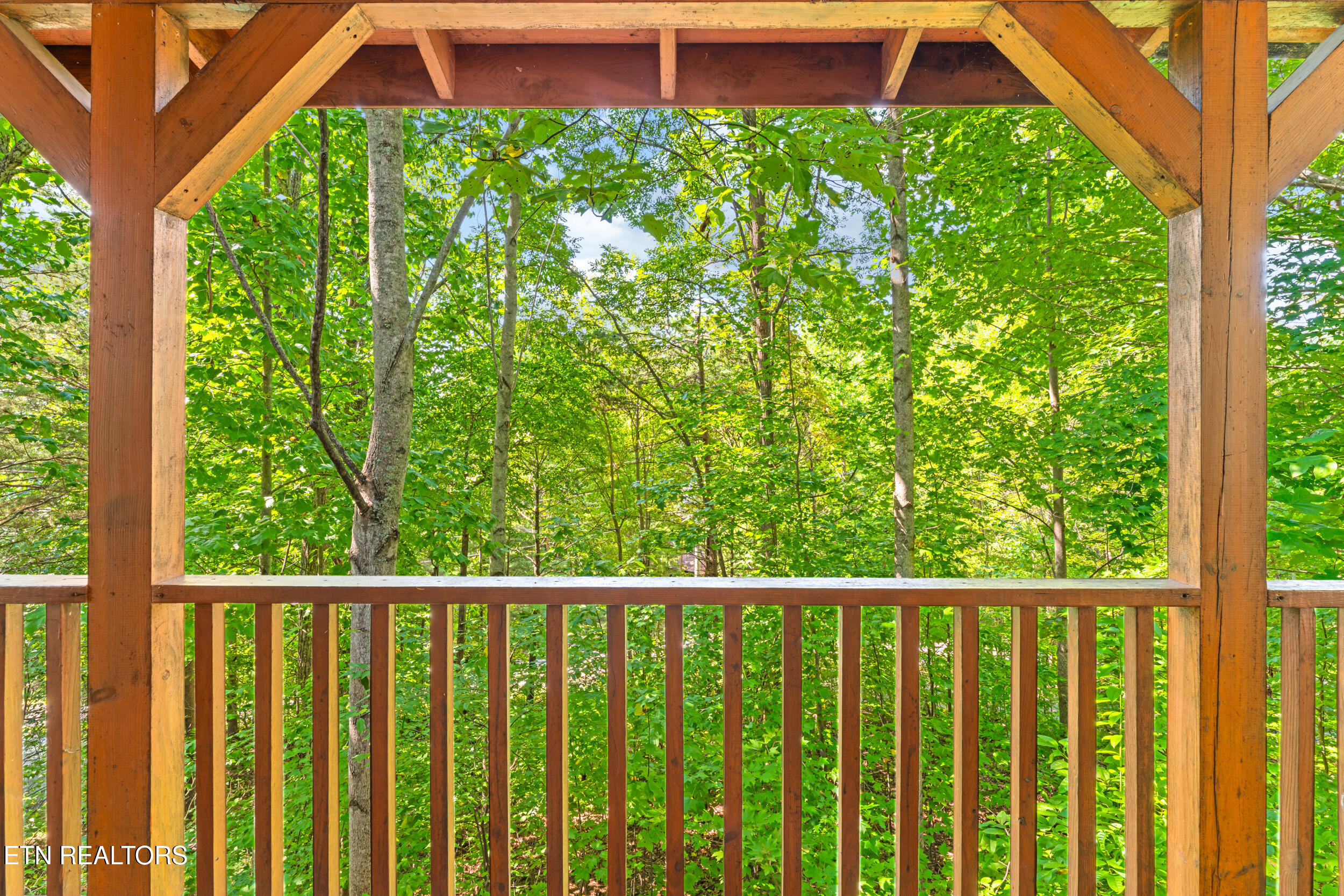 560 Thissa Way Gatlinburg TN 37738