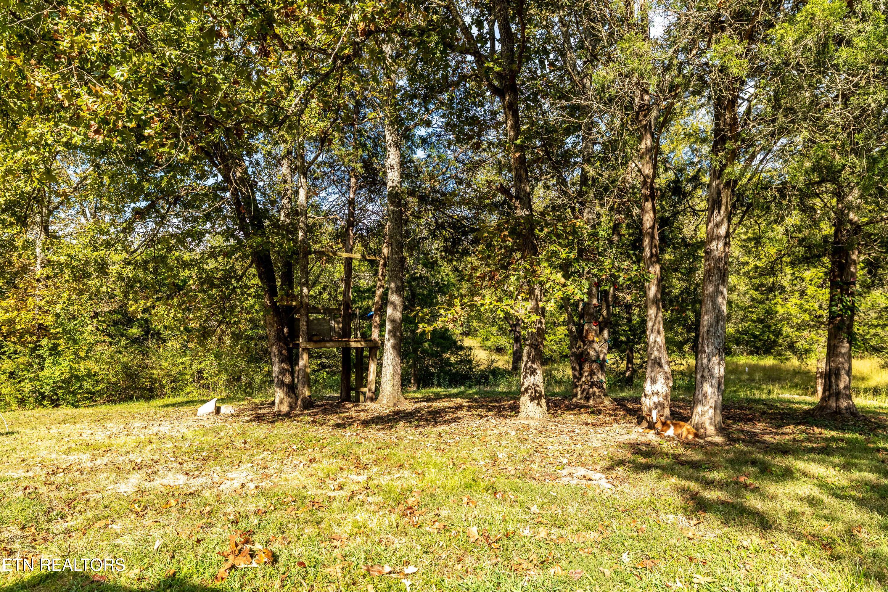 1735 Mccarty Road Knoxville TN 37914