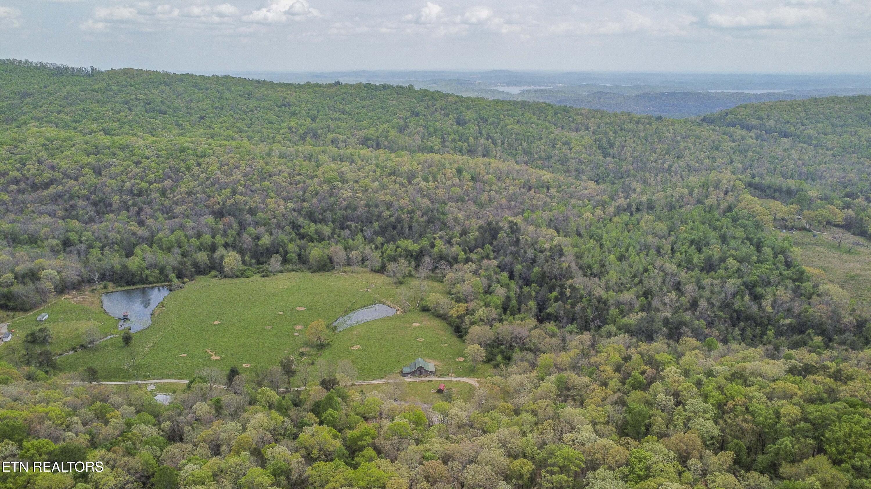 481 Piney Creek Road Rockwood TN 37854