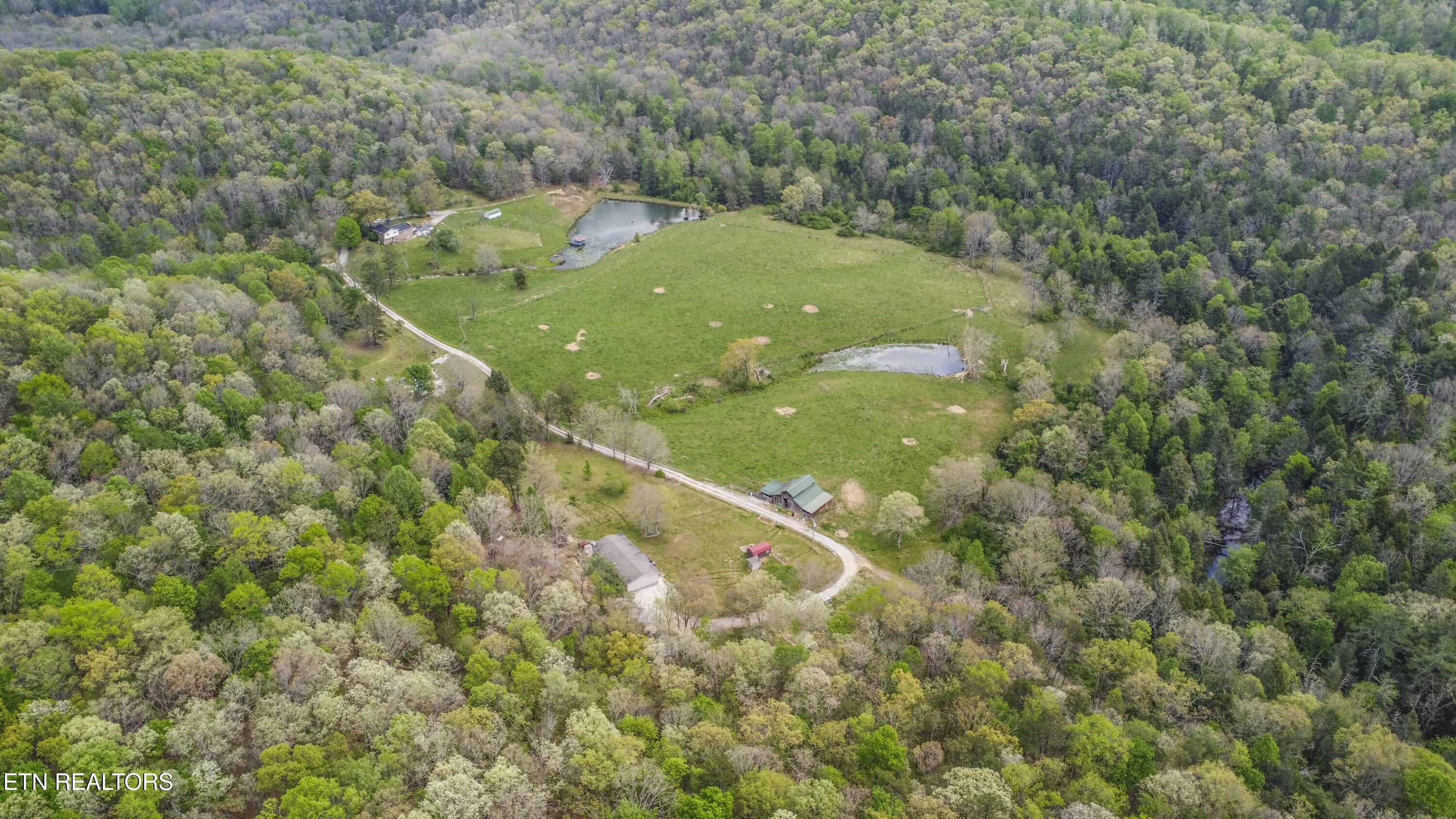 481 Piney Creek Road Rockwood TN 37854