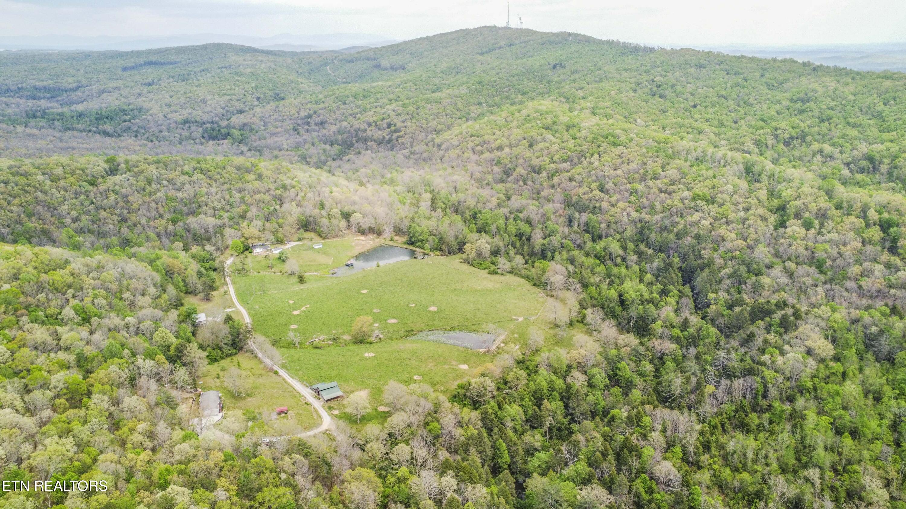 481 Piney Creek Road Rockwood TN 37854